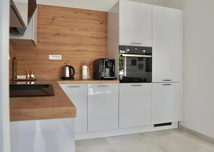 Borna B20 * טרוגיר