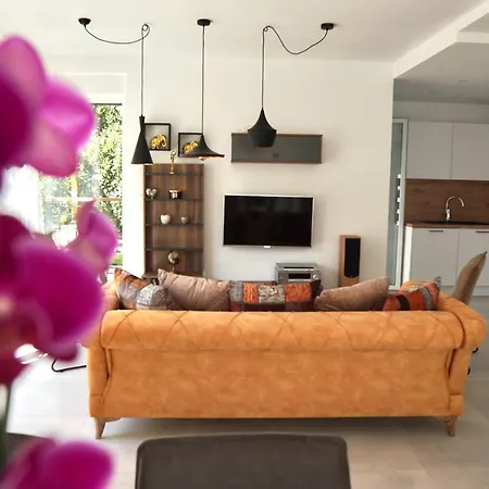 Borna B20 特罗吉尔